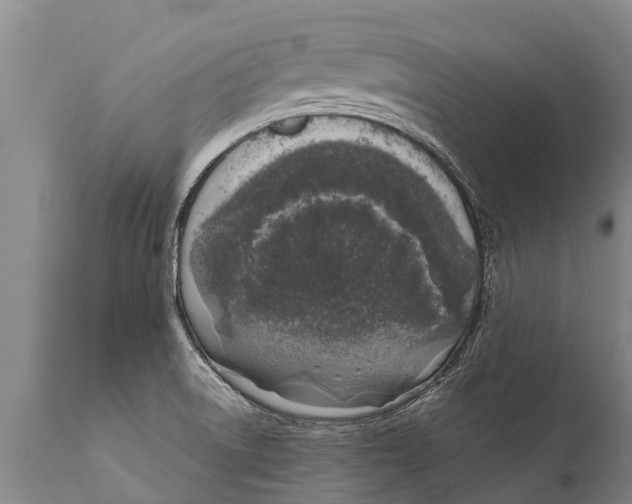 X0000111921522200908171313