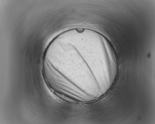 X0000111921523200908171313