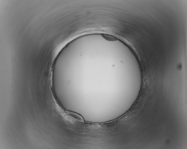 X0000111921524200908171313