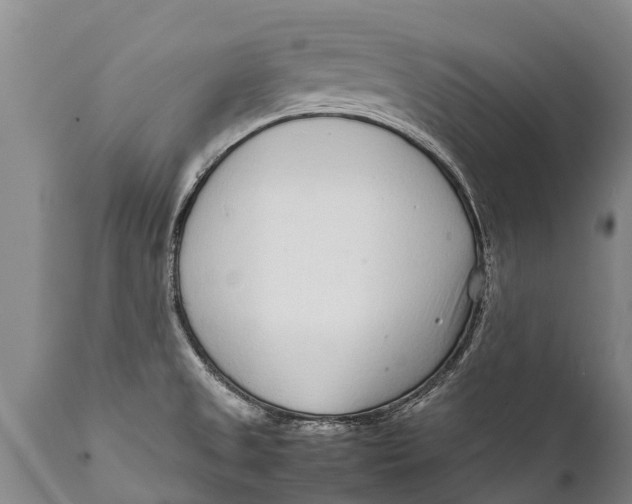 X0000111921525200908171313