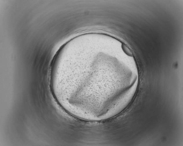 X0000111921526200908171313