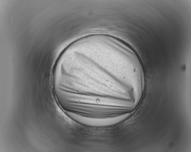 X0000111921527200908171313