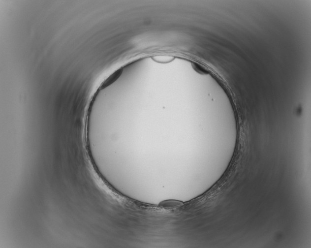 X0000111921528200908171313