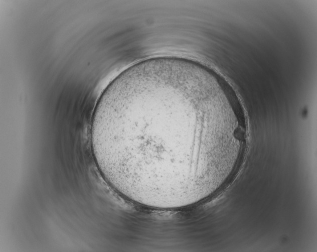 X0000111921529200908171313