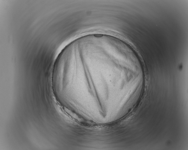 X0000111921530200908171313