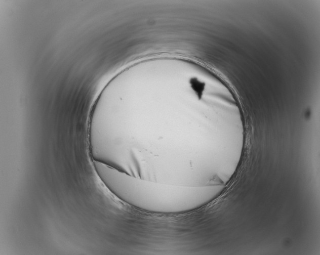 X0000111921532200908171313