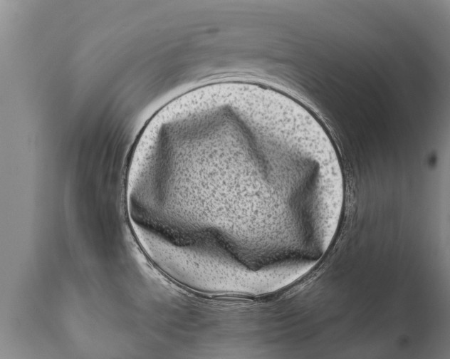 X0000111921534200908171313