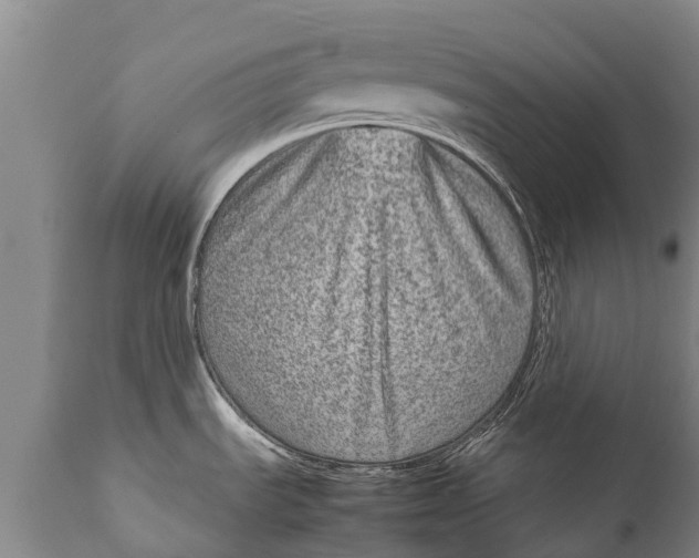 X0000111921535200908171313