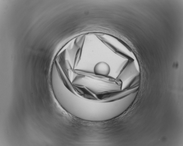 X0000111921536200908171313