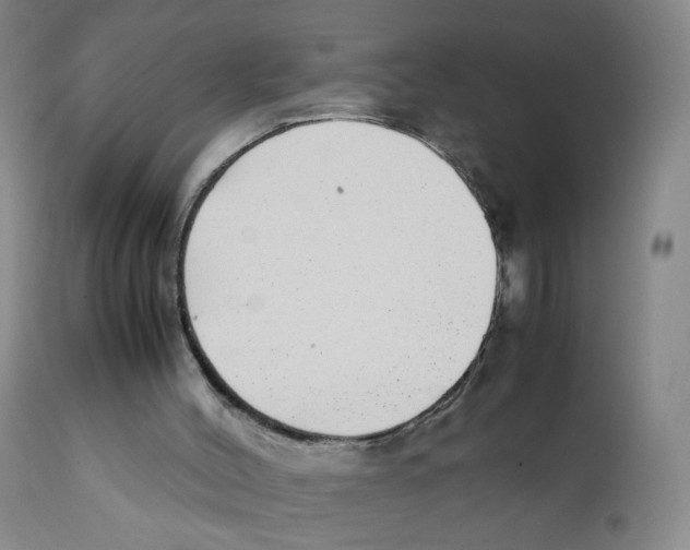 X0000111920004200908241102