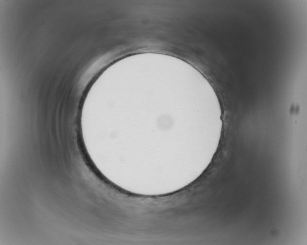 X0000111920007200908241102