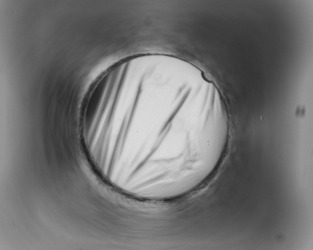 X0000111920008200908241102