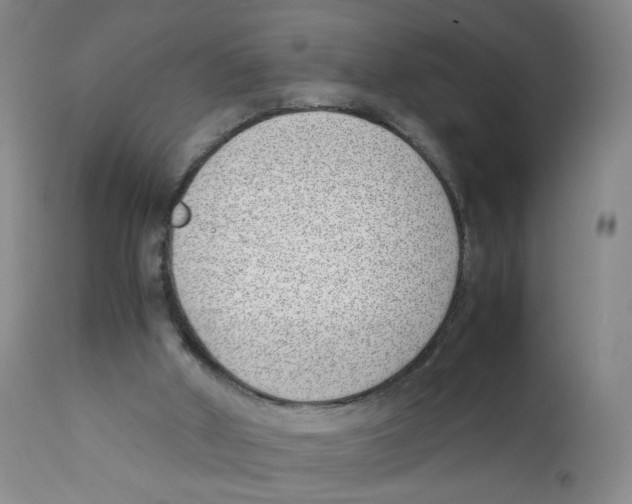 X0000111920010200908241102