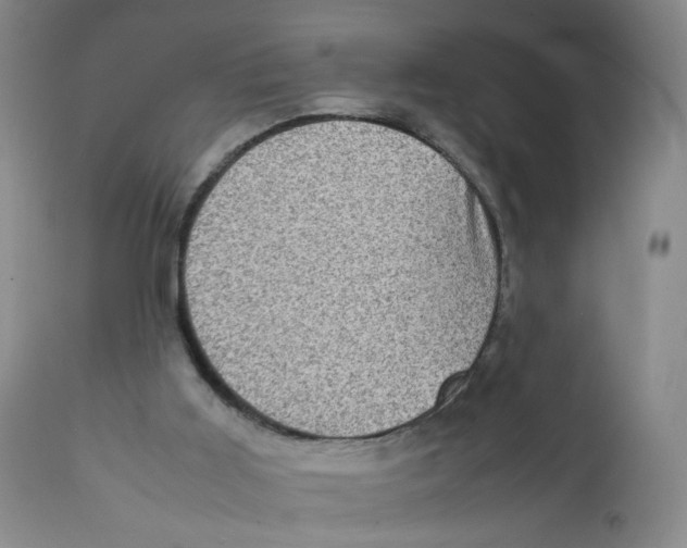 X0000111920011200908241102