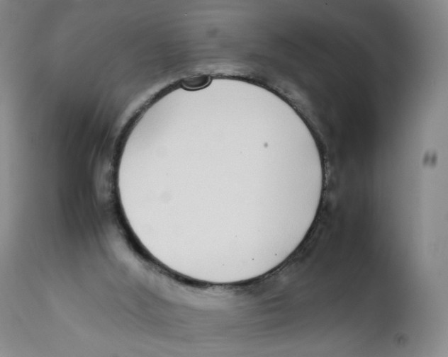 X0000111920012200908241102