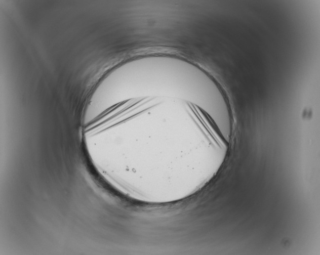 X0000111920013200908241102