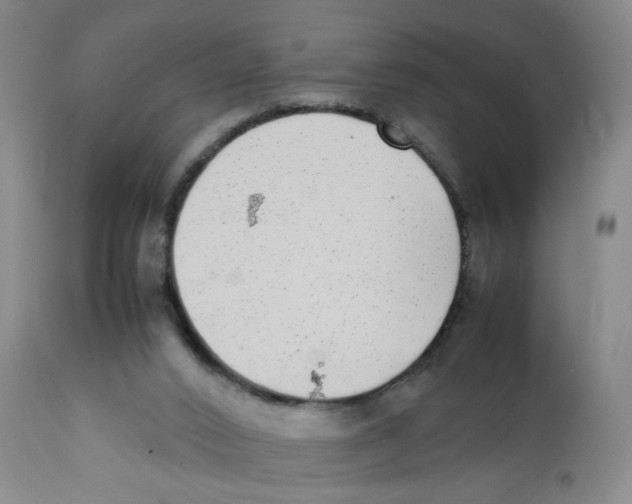 X0000111920016200908241102