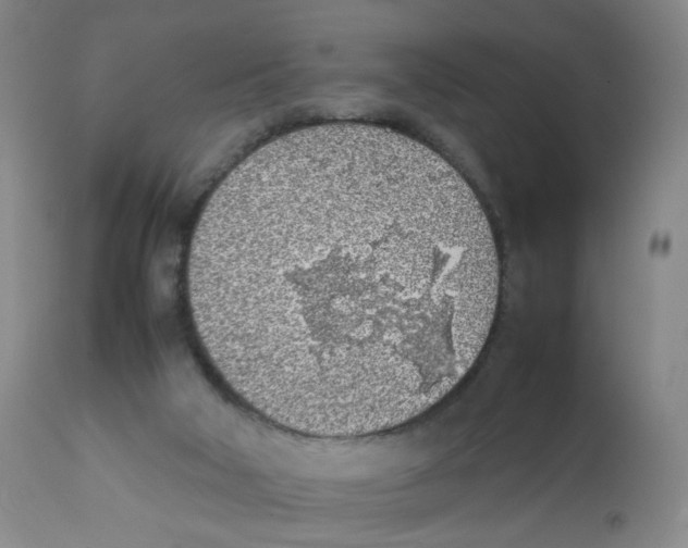 X0000111920018200908241102