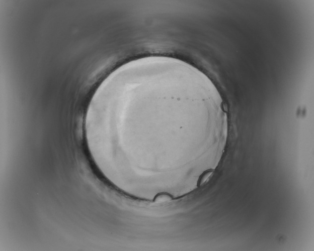 X0000111920019200908241102