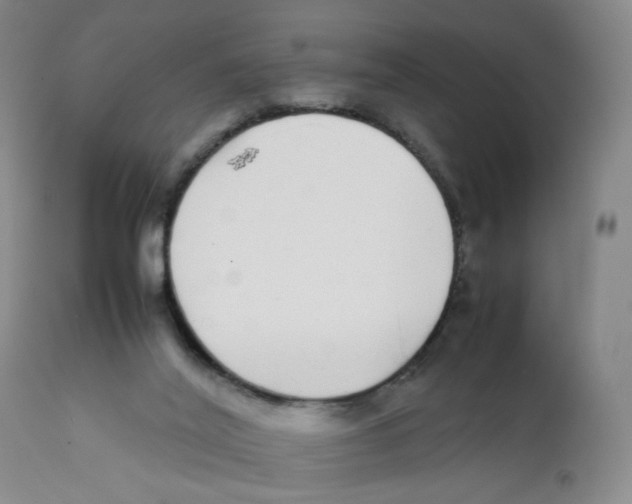 X0000111920020200908241102