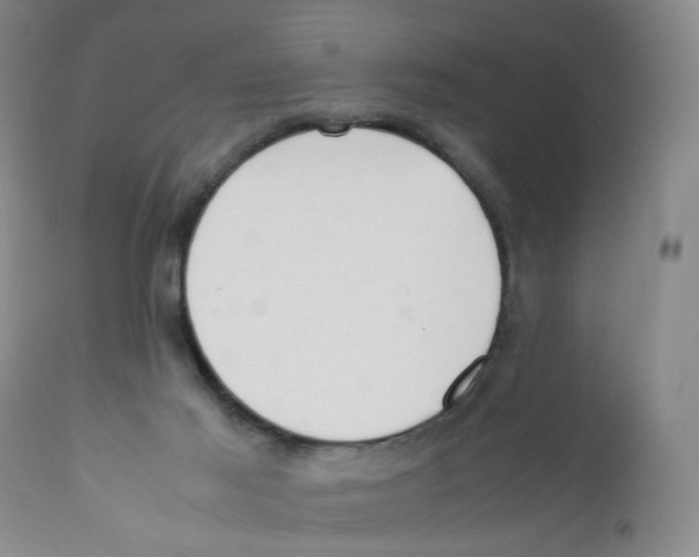 X0000111920021200908241102