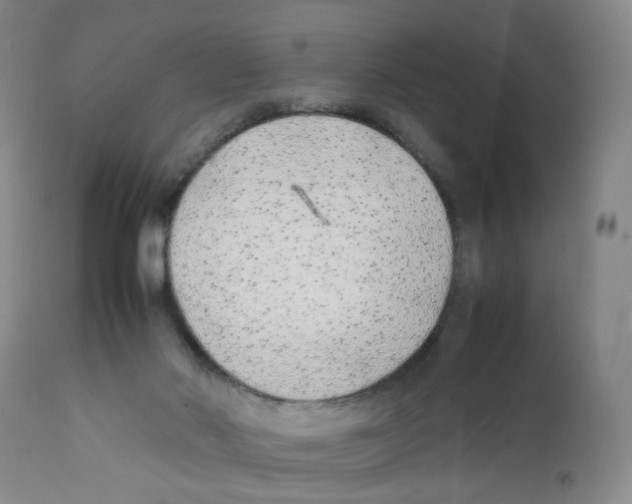 X0000111920022200908241102