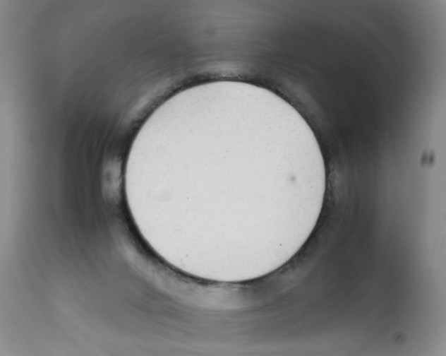 X0000111920024200908241102