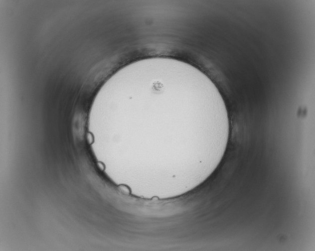 X0000111920026200908241102