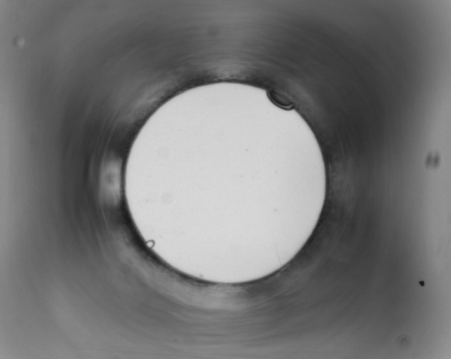 X0000111920028200908241102