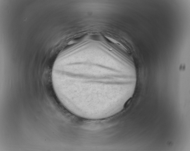 X0000111920029200908241102