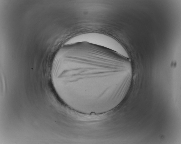 X0000111920031200908241102