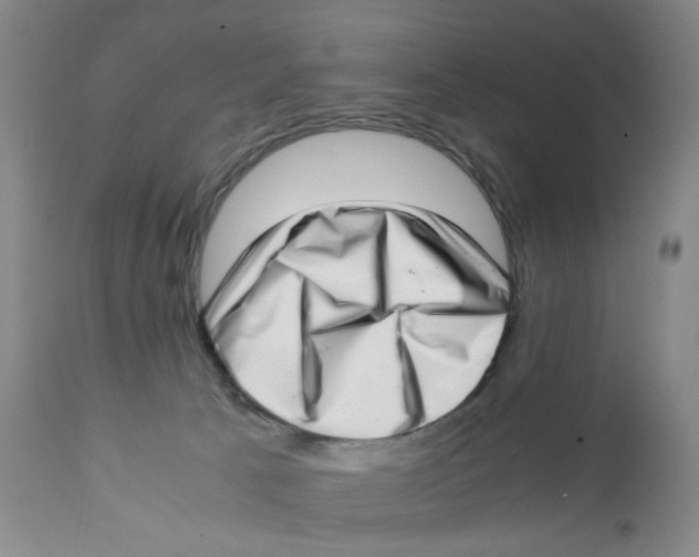 X0000111920033200908241102