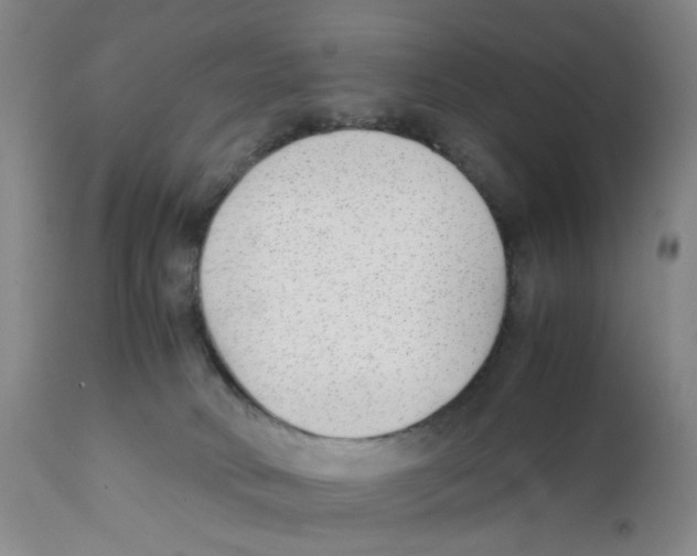 X0000111920034200908241102