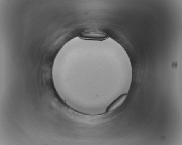 X0000111920035200908241102