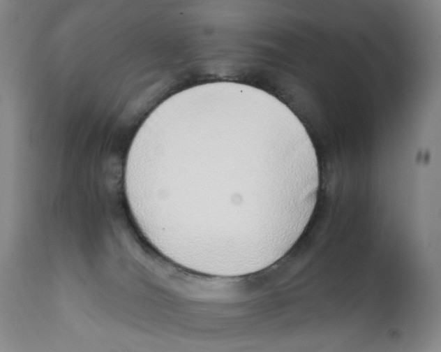 X0000111920036200908241102