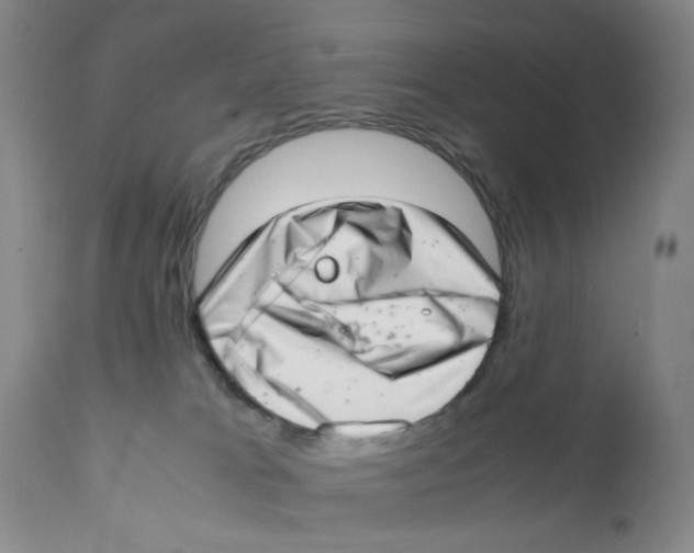 X0000111920037200908241102