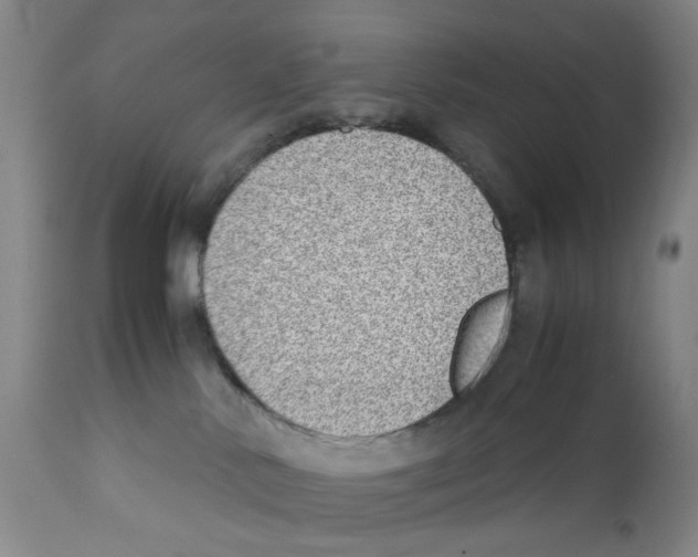 X0000111920042200908241101