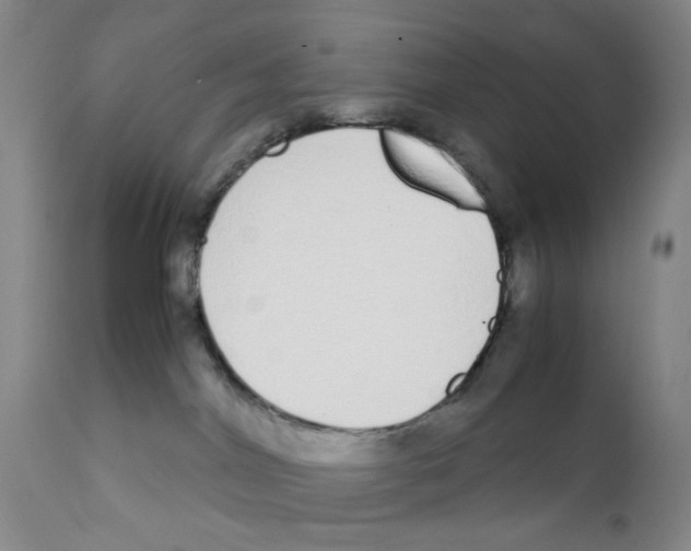 X0000111920044200908241101