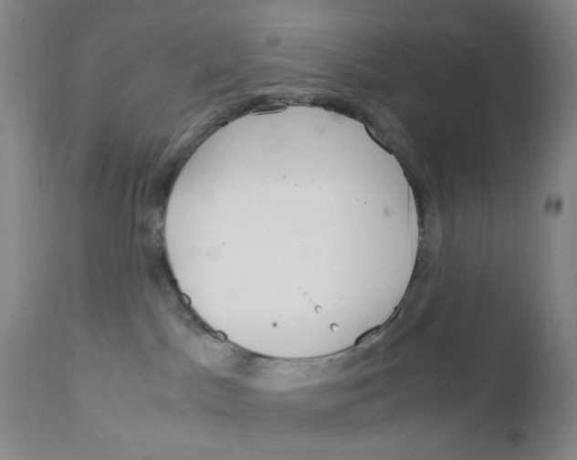 X0000111920045200908241101