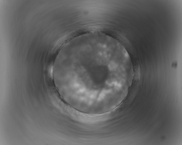 X0000111920047200908241101