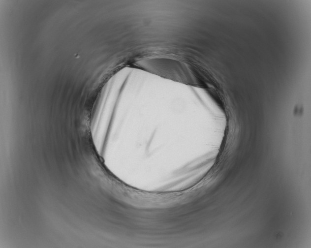 X0000111920048200908241101