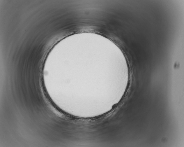 X0000111920049200908241101