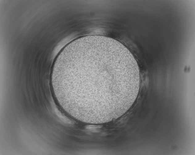 X0000111920051200908241101