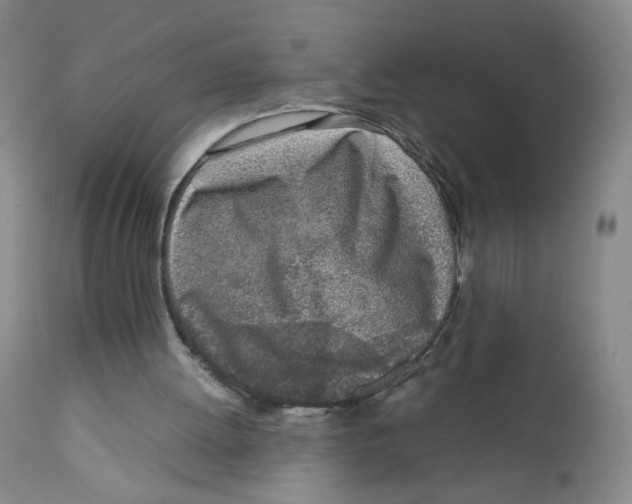 X0000111920052200908241101