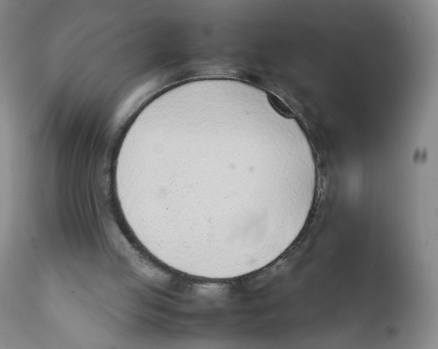 X0000111920053200908241101