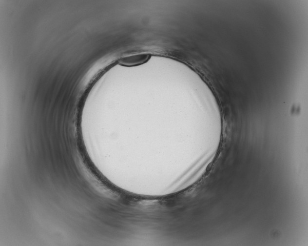 X0000111920054200908241101