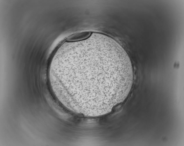 X0000111920056200908241101