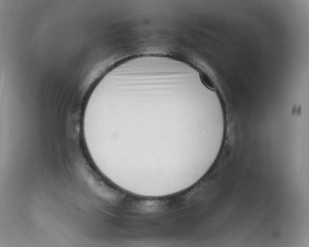 X0000111920059200908241101