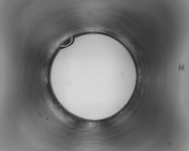 X0000111920060200908241101