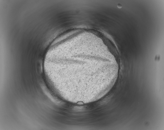 X0000111920061200908241101